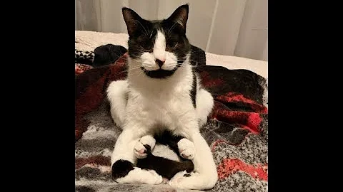 S. Mandelker PhD: Wanderers & Krishnamurti in April 2022