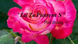Video thumbnail of "Żal za Piotrem S"