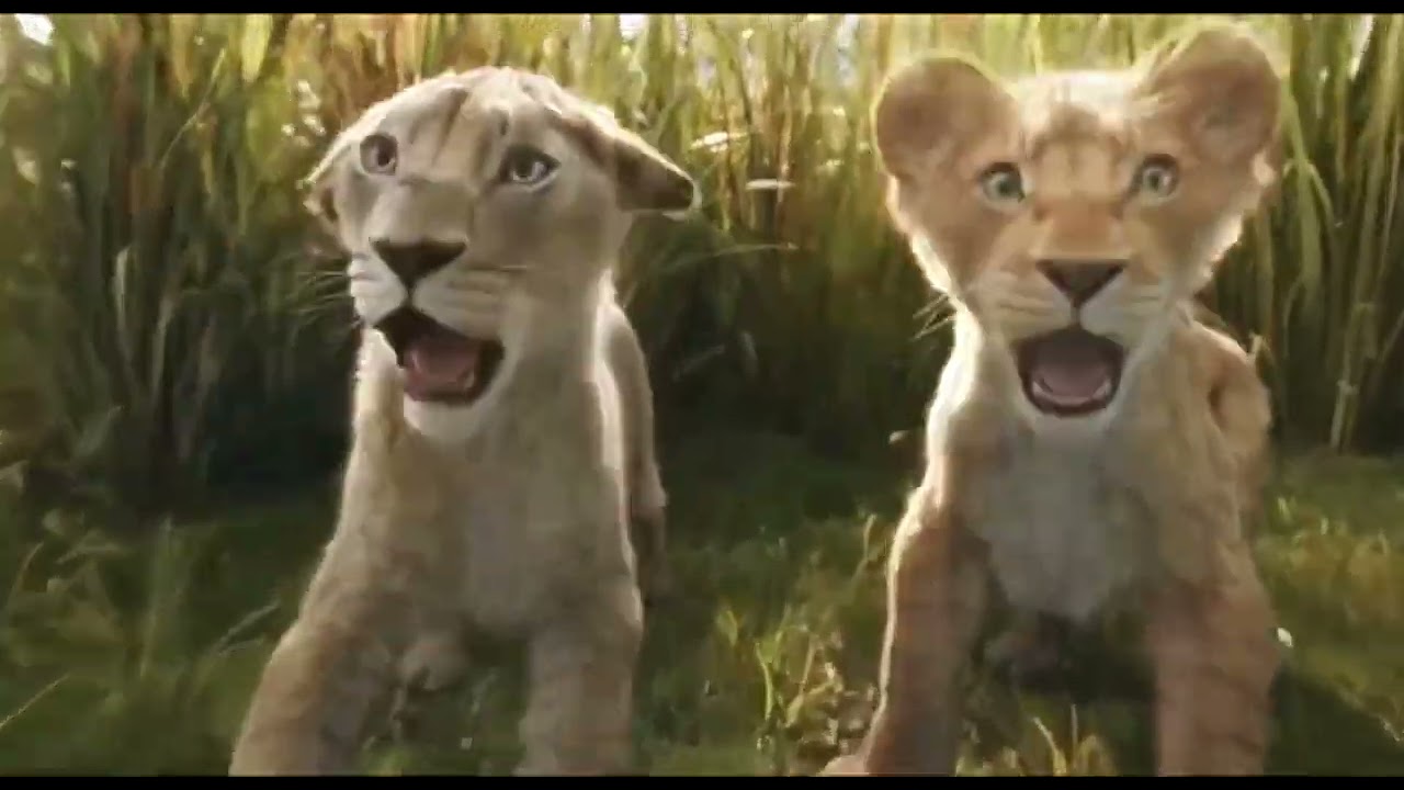 Mufasa and Taka|| Always Wanted A Brother|| Brotherhood || In Mufasa- The Lion King.