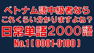 日常使い必須　ベトナム語中級者　単語学習2000語No.1(0001-0100)