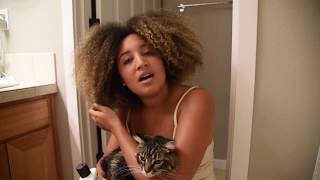 Maine Coon Cat Gets His First Bath *Goes Wrong*!!!