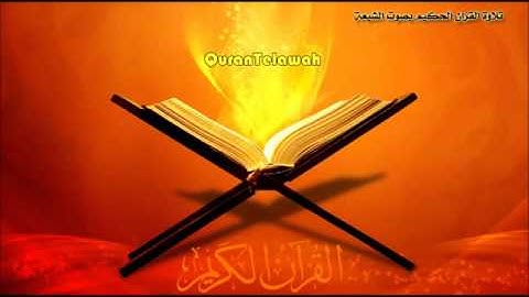 الحاج عامر الكاظمي سورة الأنفال