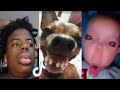 The funniest tik tok memes of august 2023  try not to laugh   15