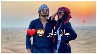 یار جنگی من شلوار پلنگی من🔥New mast farsi song    Afghanistan   Must watch it 👌 with lyrics Resimi