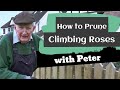 How to Prune Climbing Roses | Gardening Ideas | Peter Seabrook