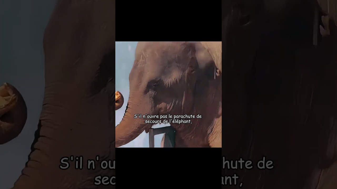 #film, #films, #movie, #movies, #cinema,#netflix, #amazonprime, #disneyplus, #edit, #editing