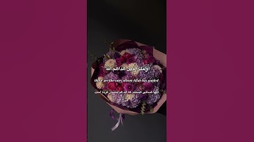 #القرآن_الكريم #سورة_الزمر #آية (١٨) | القارئ سيد اسمٰعيل | qariseyedesmail | #الله #قرآن #الزمر