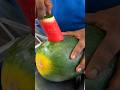 The Most Popular Iced Watermelon Juice in Malacca, Malaysia