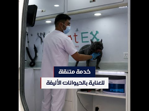 خدمة للعناية بالحيوانات الأليفة في السعودية