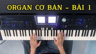 TỰ HỌC ORGAN CƠ BẢN - BÀI 1: LÀM QUEN VỚI ĐÀN ORGAN