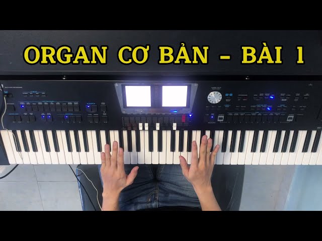 TỰ HỌC ORGAN CƠ BẢN - BÀI 1: LÀM QUEN VỚI ĐÀN ORGAN class=