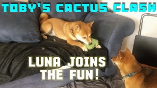 Toby's Cactus Clash: Luna Joins the Fun! screenshot 5