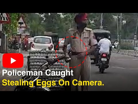policeman caught stealing eggs on camera