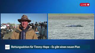 Update zu Rettungsaktion für Buckelwal: Neues Konzept liegt vor – Gutachten soll erstellt werden