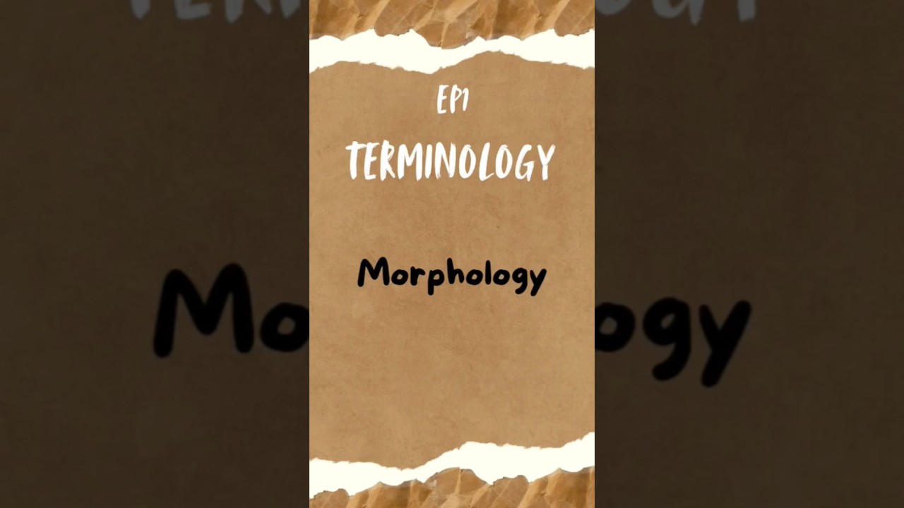 Series of Biological Terminology|Ep 01 Morphology| 