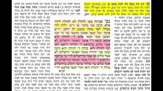 נדרים יא דף יומי מסכת נדרים דף יא Daf yomi Nedarim daf 11 שמואל נבון