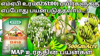 எம்ஏபி உரத்தின் பயன்கள் | MAP fertilizer Tamil | Mono ammonium phosphate tamil |12:61:00 #map #உரம்