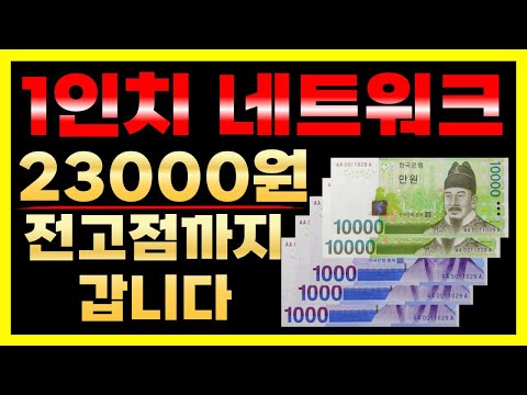 1인치네트워크 23000원 까지 올라갑니다 쎄타퓨엘 리플 폴카닷 에이다 스텔라루멘 