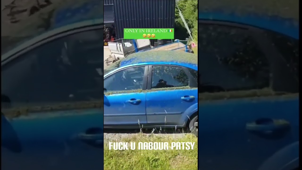 Well boys mowing the neighbours lawn Ireland 