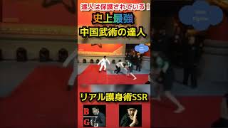 【史上最強！詠春拳！】中国武術の達人がフルボッコボコボコにされる動画‼️達人は保護されているっ‼️