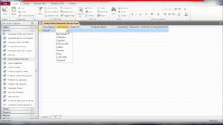 Microsoft Access Filter By Form with a Comparison Operator Wealth