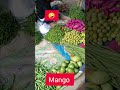 😱Mango