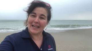 Deb Prieto-Green - L3Harris Technologies