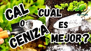 ¿Cal o Ceniza? Descubre Cual es la Mejor para Tus Plantas 🌱