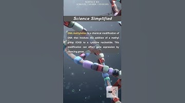 DNA Methylation simplified