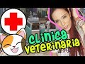 TheSims#34: COMPRO la clinica veterinaria e Fiamma SCAPPA di casa! :(