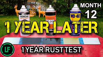 1 Year RUST Test - 1 YEAR  LATER - Tremclad Rust Reformer | Cosmoline RP-342 | WD-40