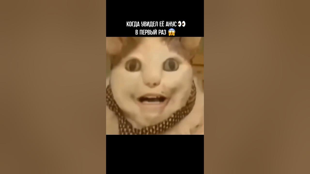 Бу не бойся откуда мем