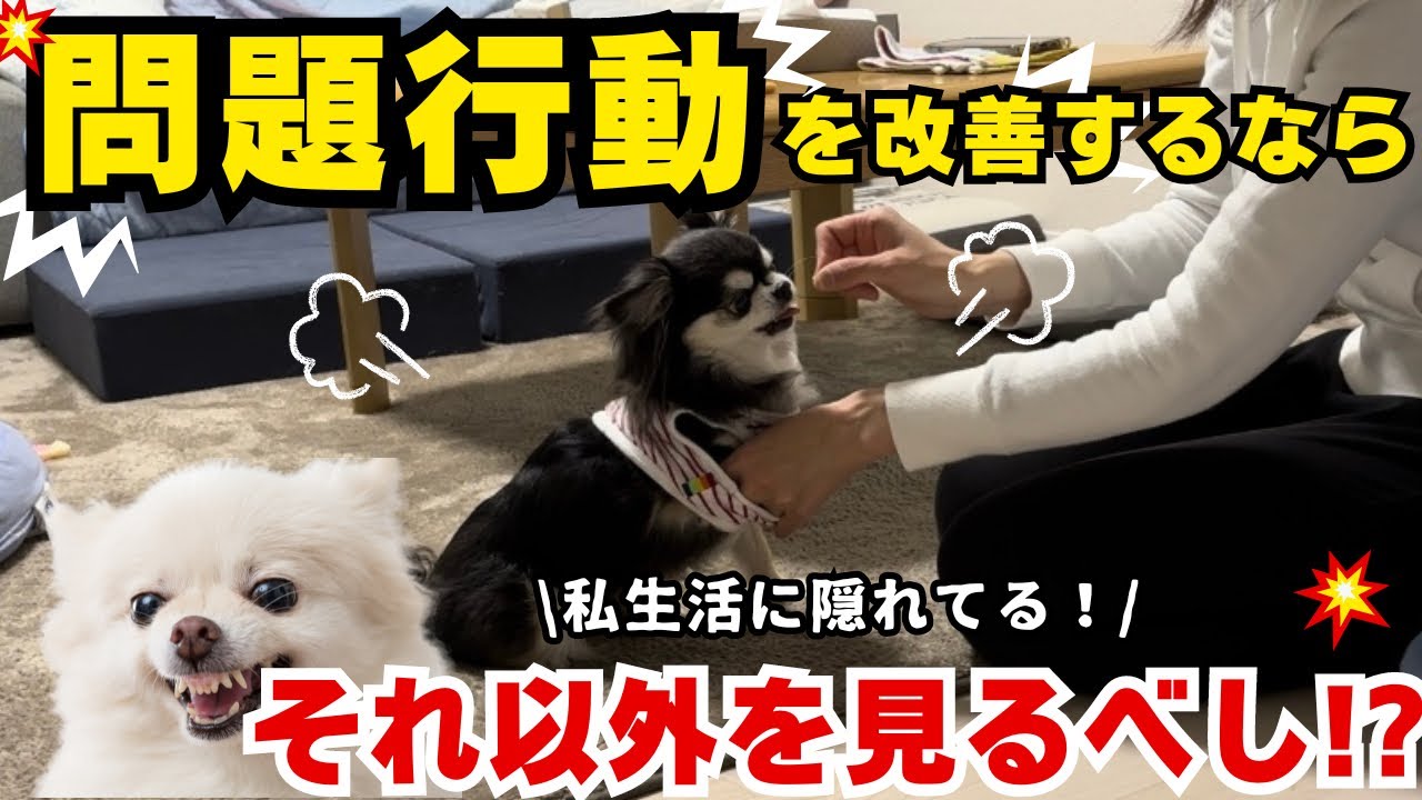 【唸り】苦手な服の着脱練習~むぎおくんの場合~ - YouTube