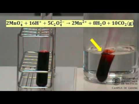 Video: ¿Cuál es el efecto de la temperatura sobre la reacción?