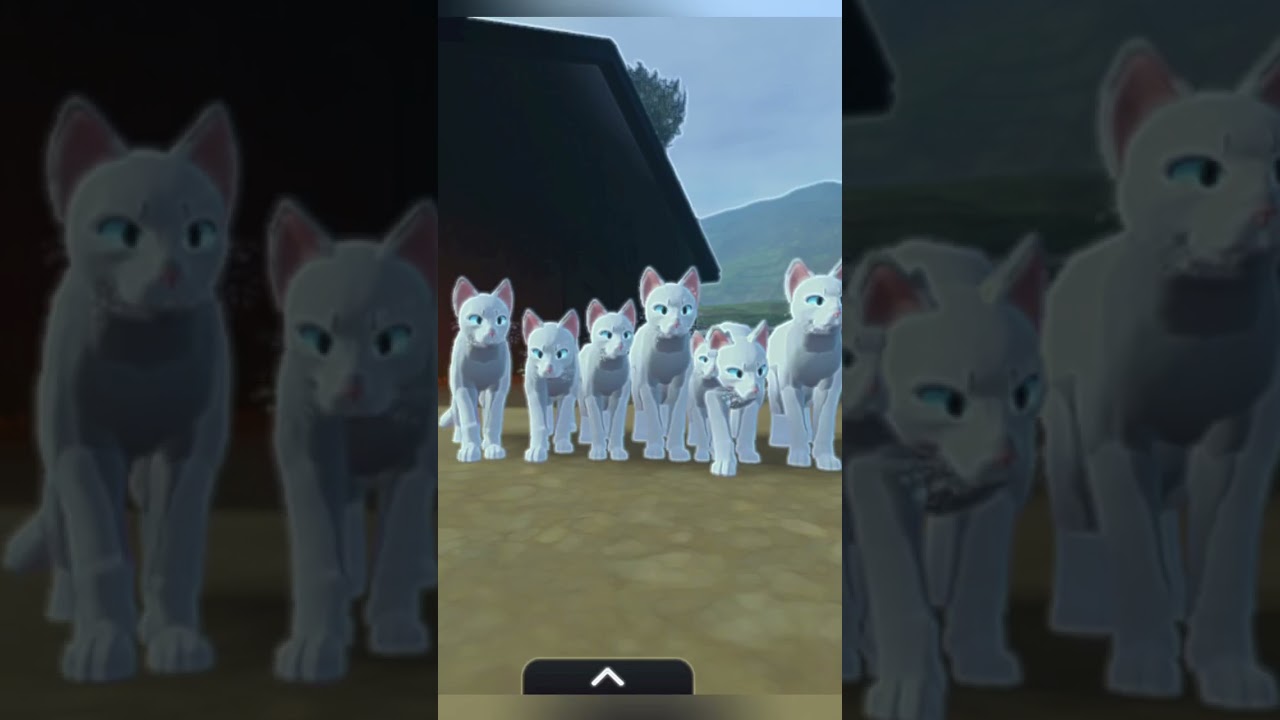 перевоплощение! 