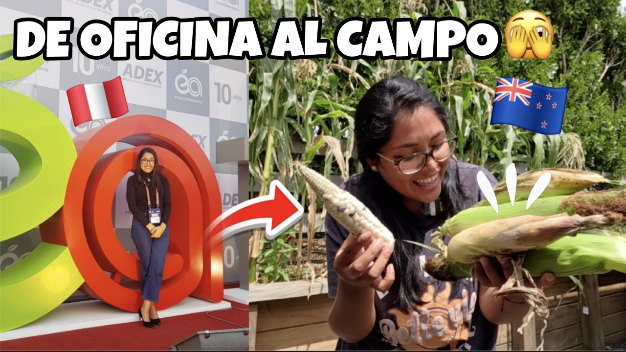 Mi nueva vida en el campo en Nueva Zelanda 🌽🇳🇿