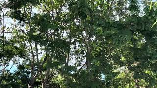IMG 7084