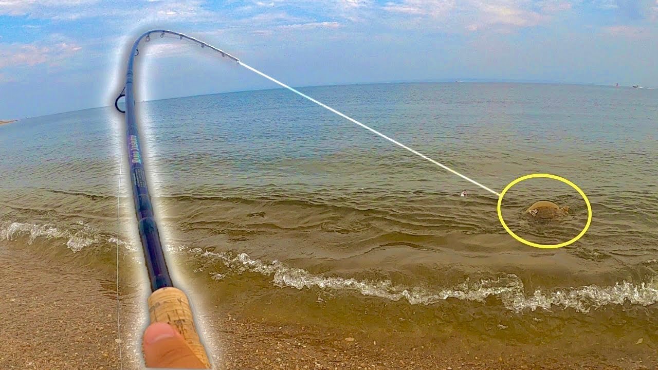 Fishing For FLUKE Right In The SURF  THIS Catch & Cook HIT The SPOT! 