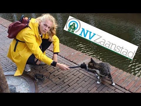 Talkshow NV Zaanstad introductiefilmpje