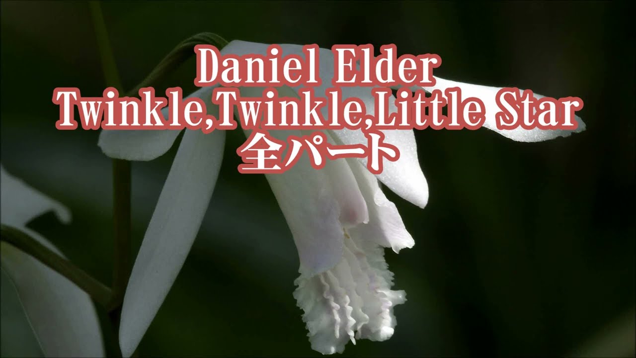 Daniel Elder きらきら星 Twinkle Twinkle Little Star 全パート - YouTube