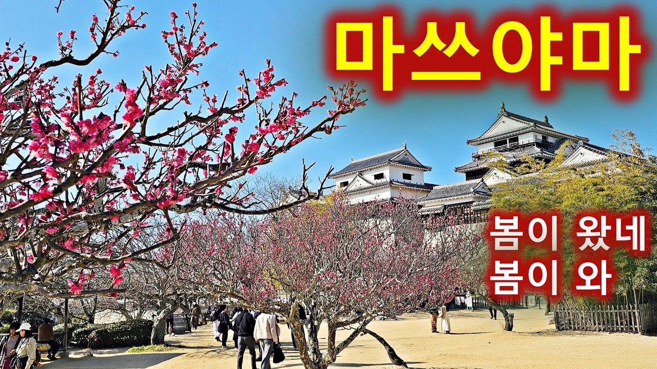 일본 시코쿠 마쓰야마 2박3일 여행/도고온천과 리쓰린정원/봄이 벌써왔네요-홍매화가 활짝/봇짱