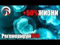 Plug-In +50% к Жизни. Как Перезагрузить Стволовые Клетки.