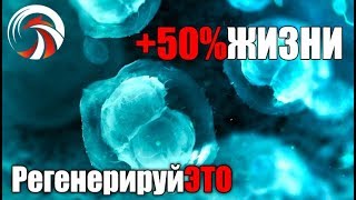 Plug-In +50% к Жизни. Как Перезагрузить Стволовые Клетки.