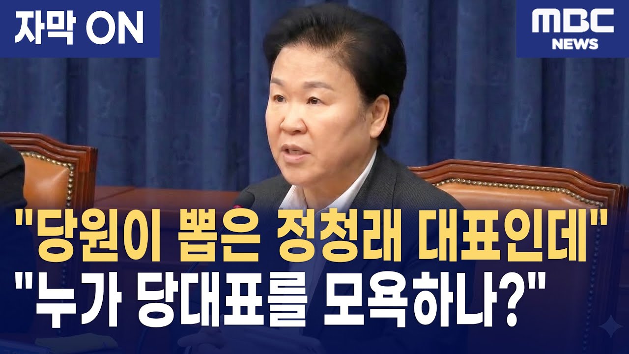 문정복 관련 유튜브 보도 화면