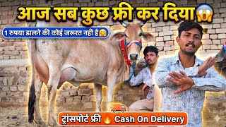 सब कुछ फ्री में 😃!! पैसे गाय घर पहुँचने पर दे👍!!मात्र 33 हजार में गाय ख़रीदो👌 ट्रांसपोर्ट फ़्री🎊 offer