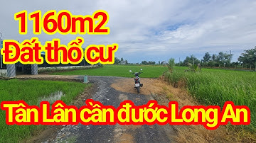 ( đất đã bán )Bán 1160m2 đất thổ cư xã tân lân cần đước Long An đường xe hơi trước đất