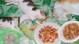 KUCING MAKAN UDANG GAK MAU BAGI KARNA PAHIT 😀🐈