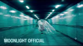 MOONLIGHT - STARLING ECHO (Official Audio)