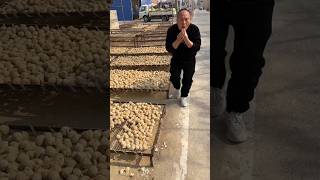 Dad didn't let me eat a single egg 🥚🥚| Amazing yummy half boiled eggs #egg #farming