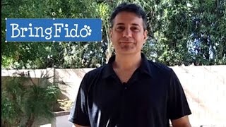 Bring Fido